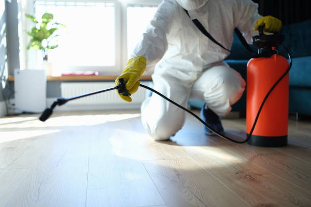 Reliable Odor Removal contractor in Jeffersonville, IN by Crime Scene Cleaner Online